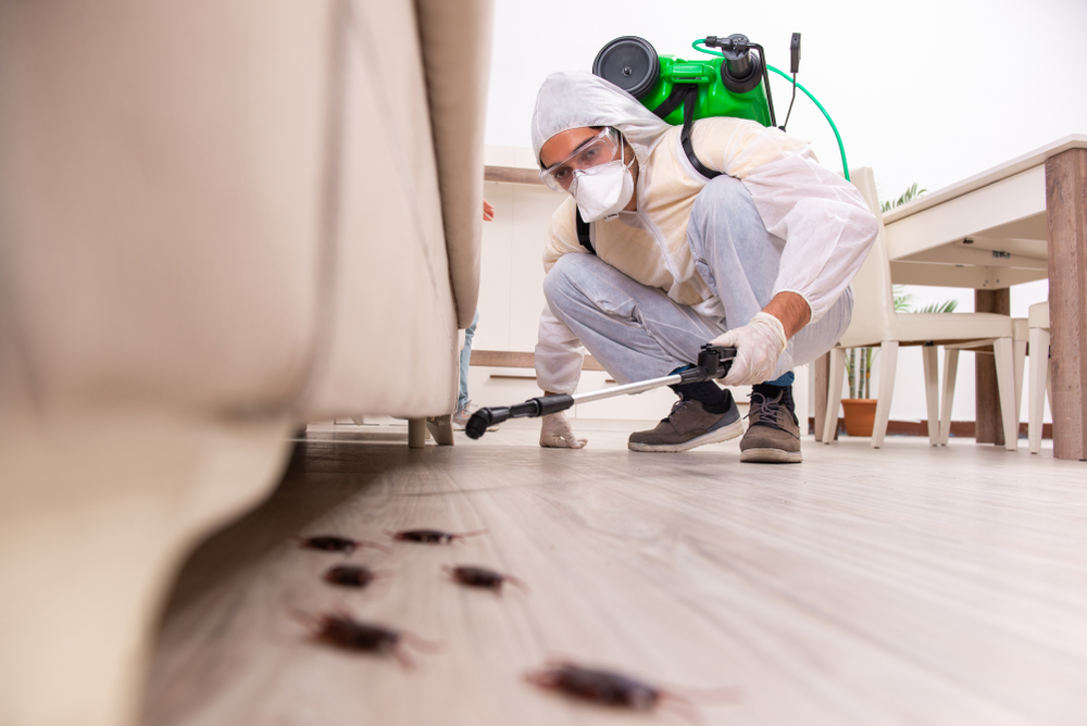 PEST CONTROL